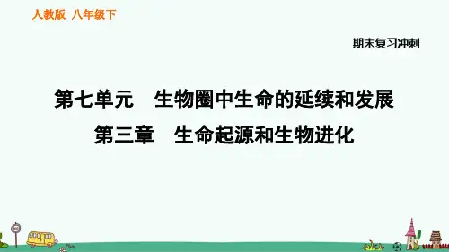 人教八年级生物下册《生命起源和生物进化》期末复习知识汇总