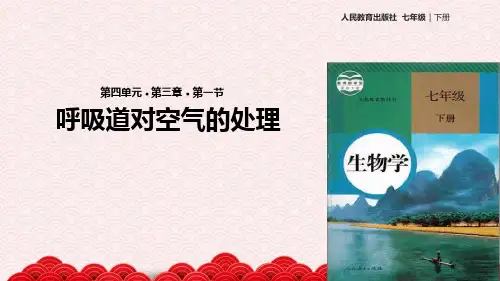 七年级下册生物课件 431呼吸道对空气的处理课件人教版