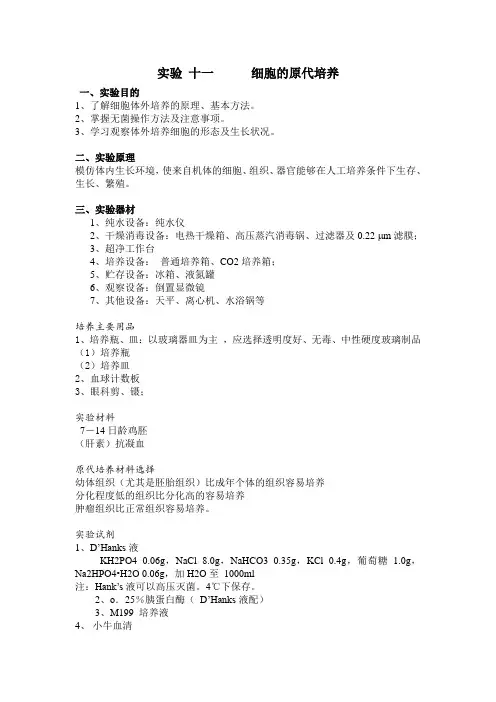 细胞的原代培养实验报告