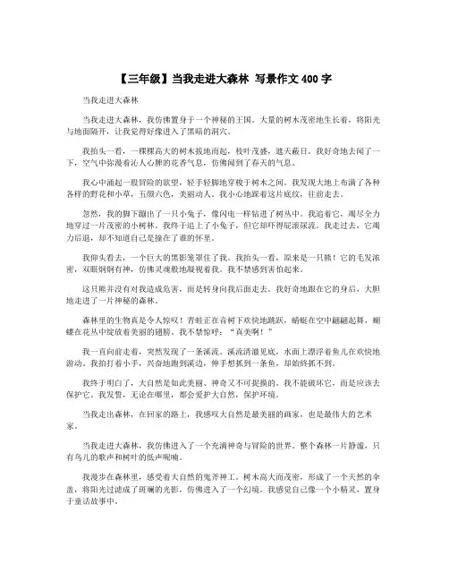 【三年级】当我走进大森林 写景作文400字