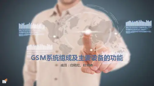 GSM系统组成及主要设备的功能资料