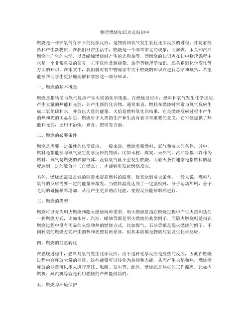 物理燃烧知识点总结初中
