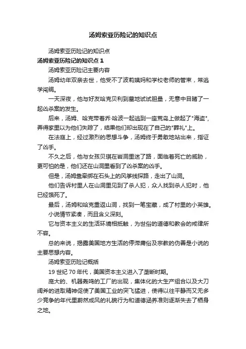 汤姆索亚历险记的知识点