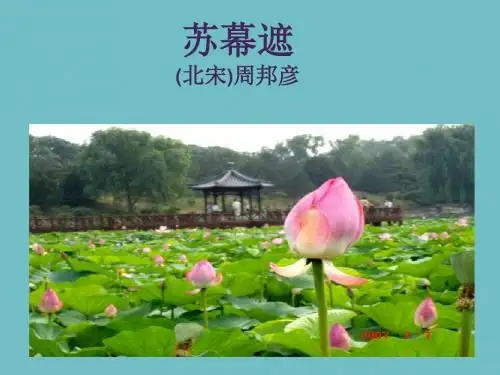 人教版选修《中国古代诗歌散文欣赏》第三单元《苏幕遮》课件(共25张)