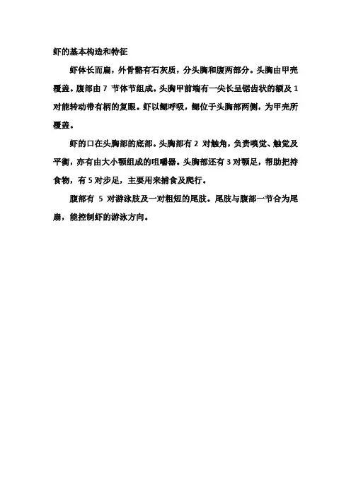 虾的基本构造和特征