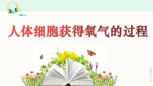 北师大版生物七年级下册《人体细胞获得氧气的过程》课件