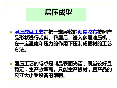 层压,卷管,RTM