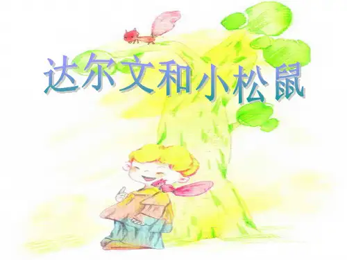 《达尔文和小松鼠》PPT课件 图文
