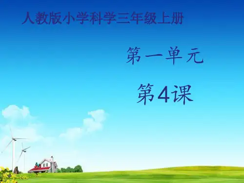 人教版小学科学上册三年级科学上册课件《饲养小动物》课件——第1课时课件