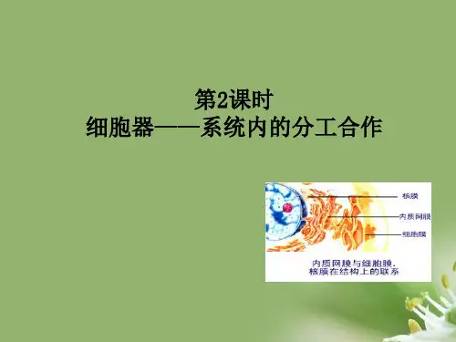 细胞器——系统内的分工合作ppt82 人教课标版精选教学PPT课件