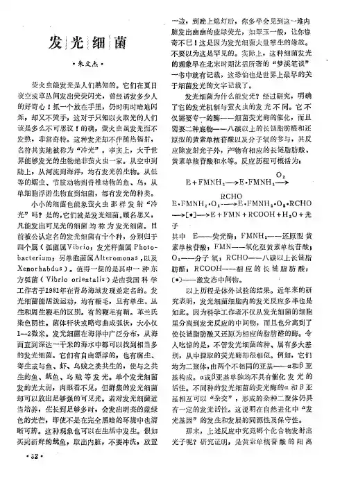 发光细菌