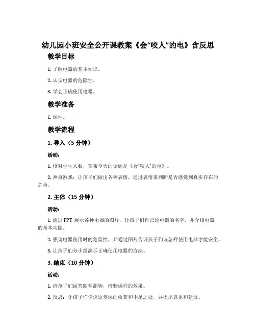 幼儿园小班安全公开课教案《会“咬人”的电》含反思