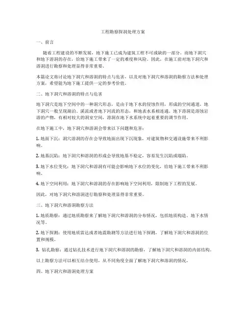 工程勘察探洞处理方案