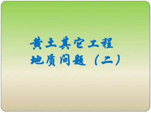 黄土工程地质(5)