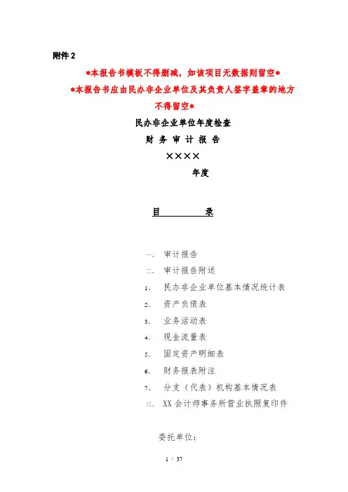 民办非企业单位年度审计报告模版
