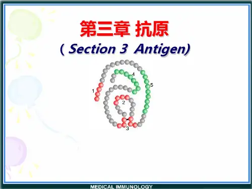 医学免疫学第三章 抗原