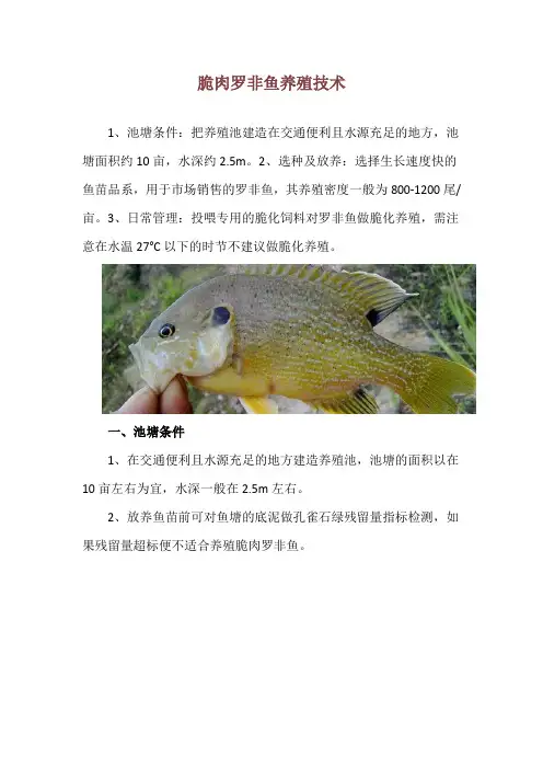 脆肉罗非鱼养殖技术