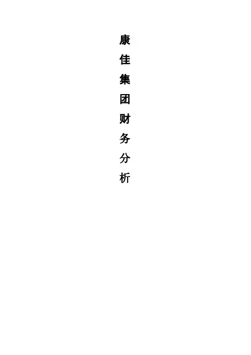 康佳集团财务分析