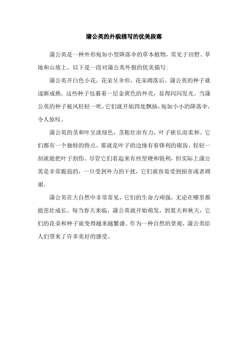 蒲公英的外貌描写的优美段落
