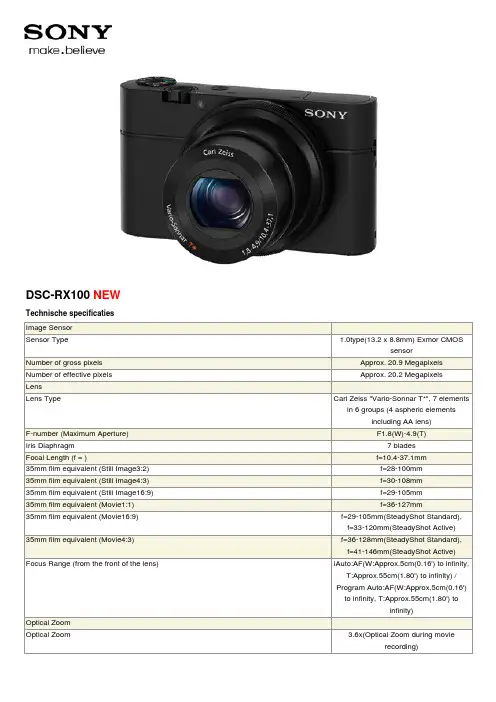 松下电子 DSC-RX100 新型技术规格表说明书