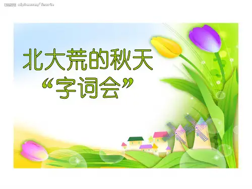 北大荒的秋天.ppt