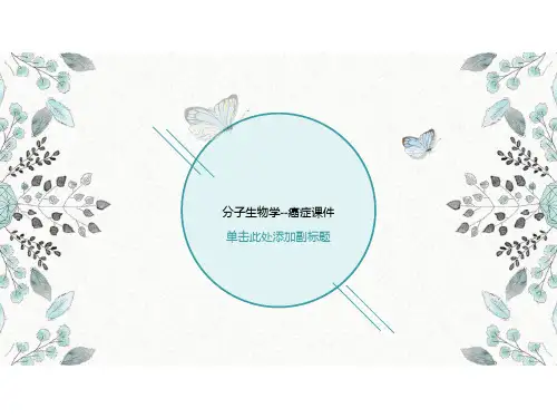 分子生物学--癌症课件