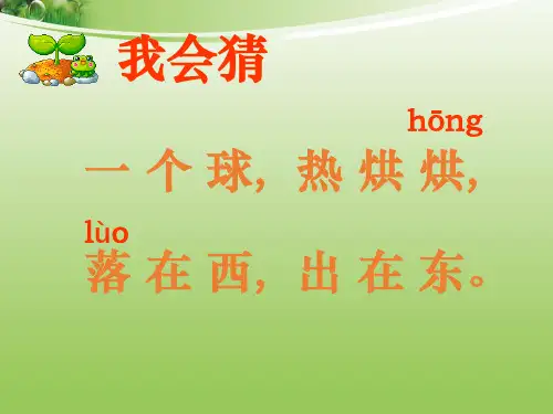 阳光 完整版课件PPT