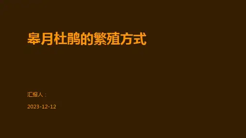 皋月杜鹃的繁殖方式