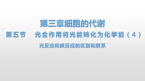浙科版必修一  3-5 光合作用将光能转化为化学能(4、5)光碳反应 影响因素   课件(34张)
