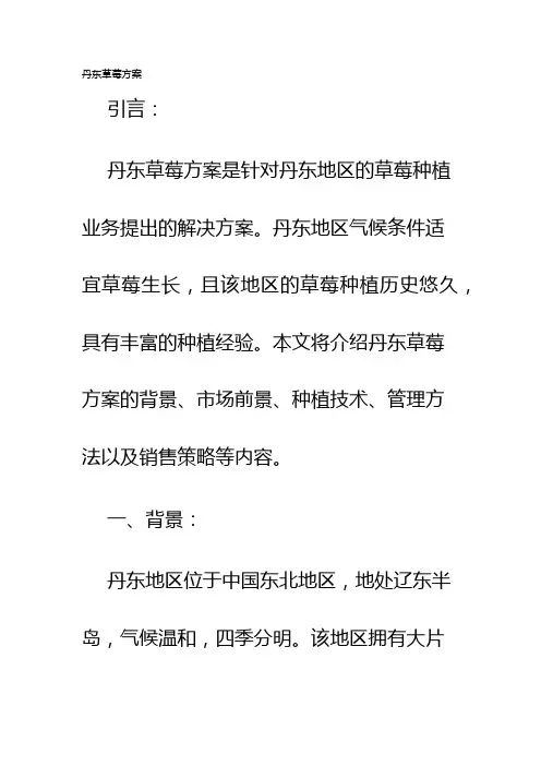 丹东草莓方案