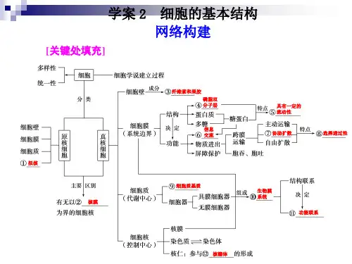 高考生物二轮专题复习课件：知识专题1学案2  细胞的基本结构PPT课件