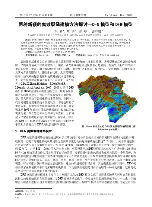 两种新颖的离散裂缝建模方法探讨_DFN模型和DFM模型