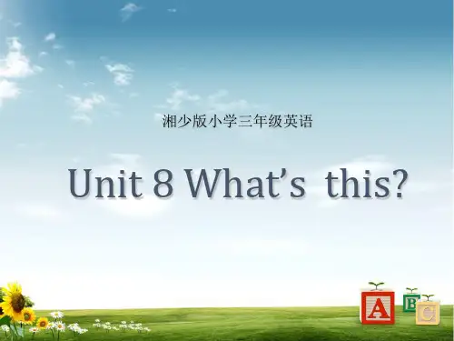湘少版三年级英语上册Unit 8 What's this？课件3