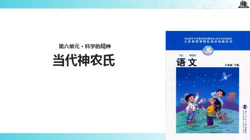 2021小学语文北师大版六年级下册《当代神农氏》.pptx教学课件