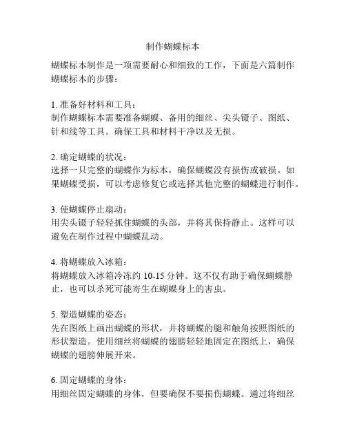 制作蝴蝶标本