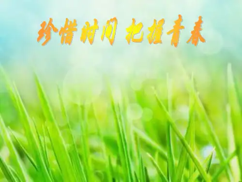 主题班会珍惜时间把握青春.ppt