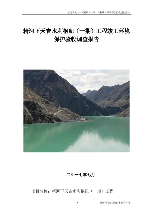 精河下天吉水利枢纽(一期)工程竣工环境保护验收调查报告