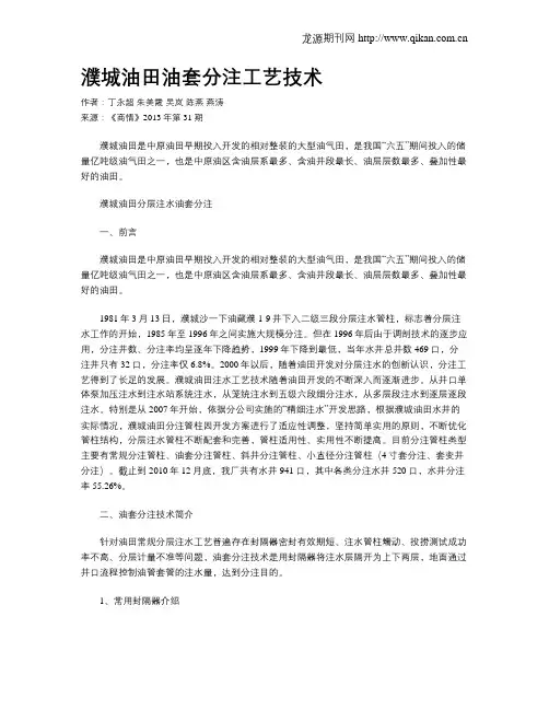 濮城油田油套分注工艺技术