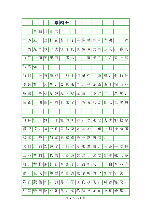 2019年草帽计作文300字