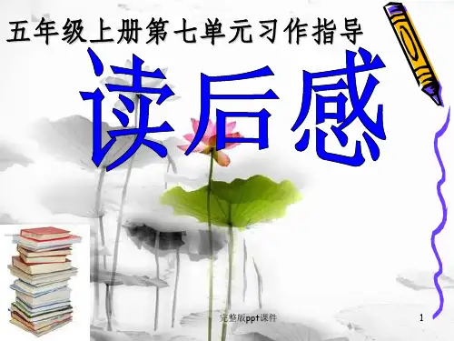 五年级语文读后感ppt课件