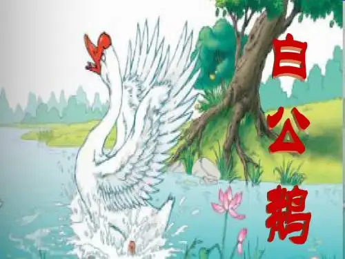 人教版语文四年级上册《白公鹅》