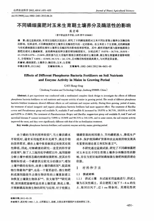 不同磷细菌肥对玉米生育期土壤养分及酶活性的影响
