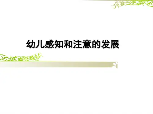 2.幼儿感知和注意的发展