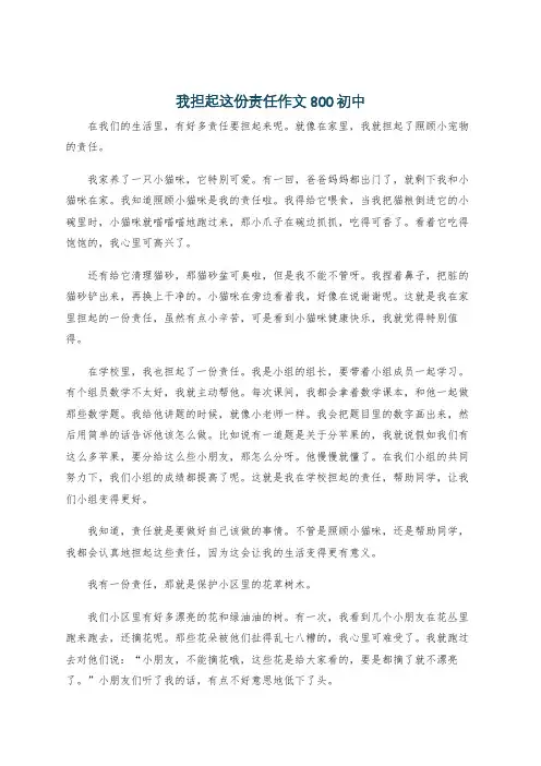 我担起这份责任作文800初中