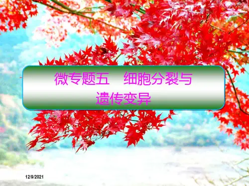 高考生物二轮复习 专题三 细胞的生命历程(含减数分裂)微专题5 细胞分裂与课件