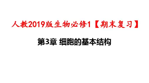 人教2019版生物必修1【期末复习】：第3章 细胞的基本结构