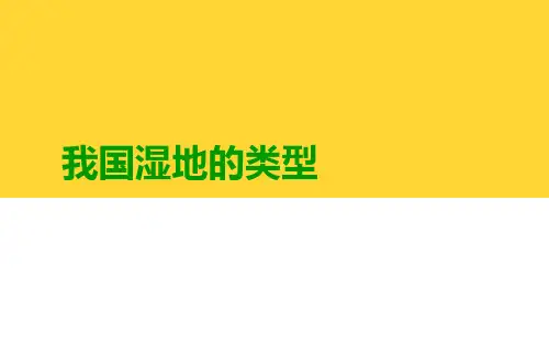 我国湿地类型