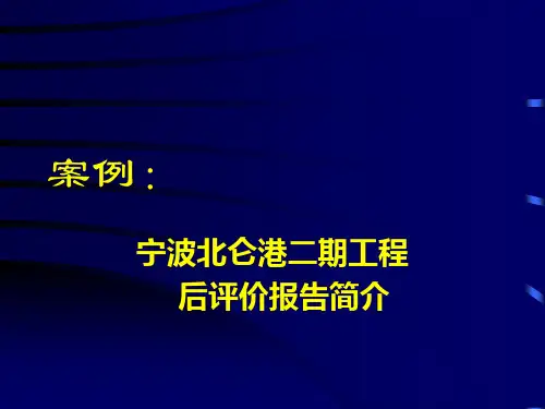 项目后评价(戴大双)(案例)
