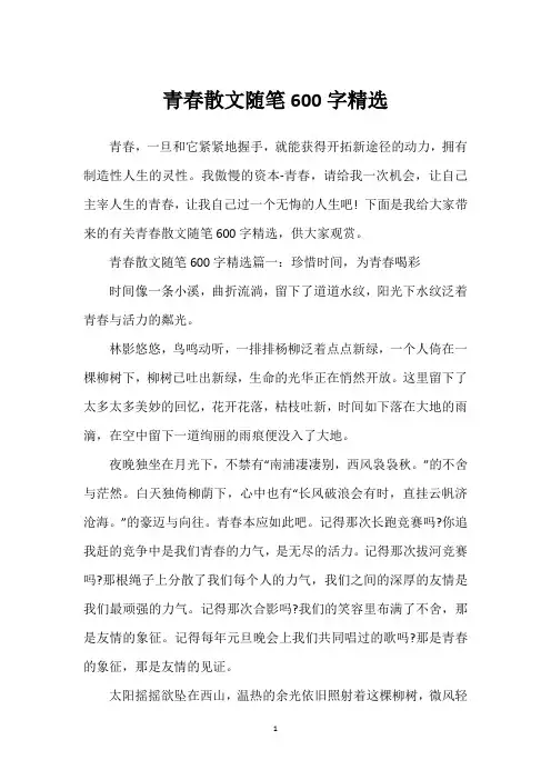 青春散文随笔600字精选