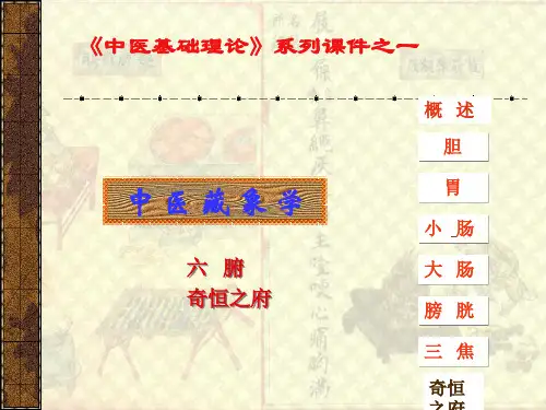 六腑、奇恒之府